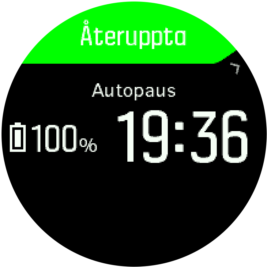 autopause time Trainer