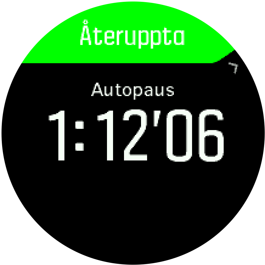 autopause Trainer