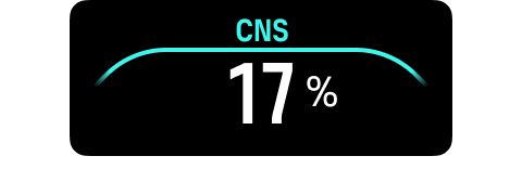 switchfield cns