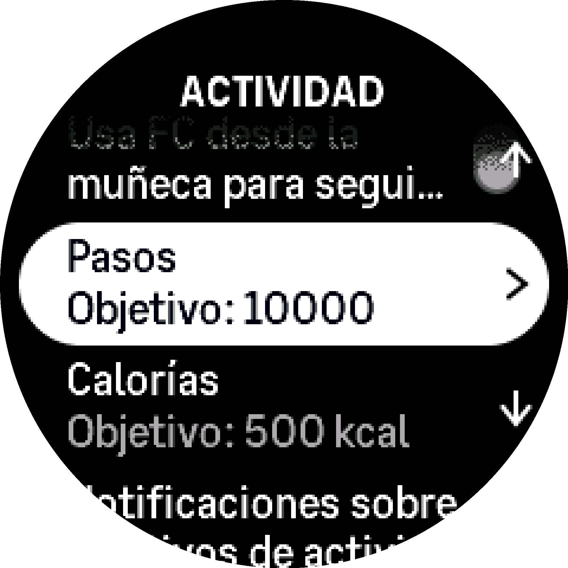 Objetivos de actividad S9PP