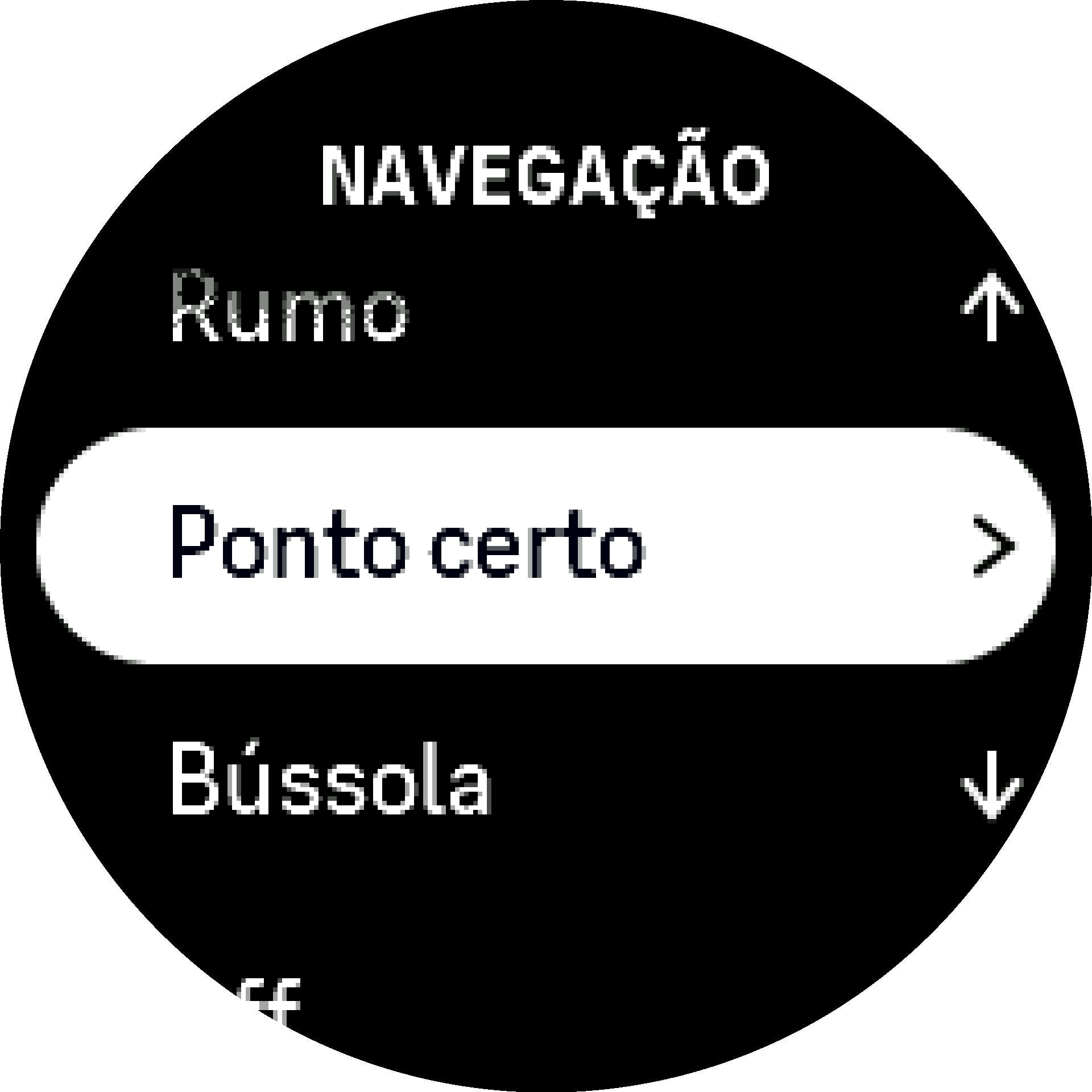 Ponto certo S9PP