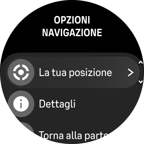 opzioni di navigazione Race