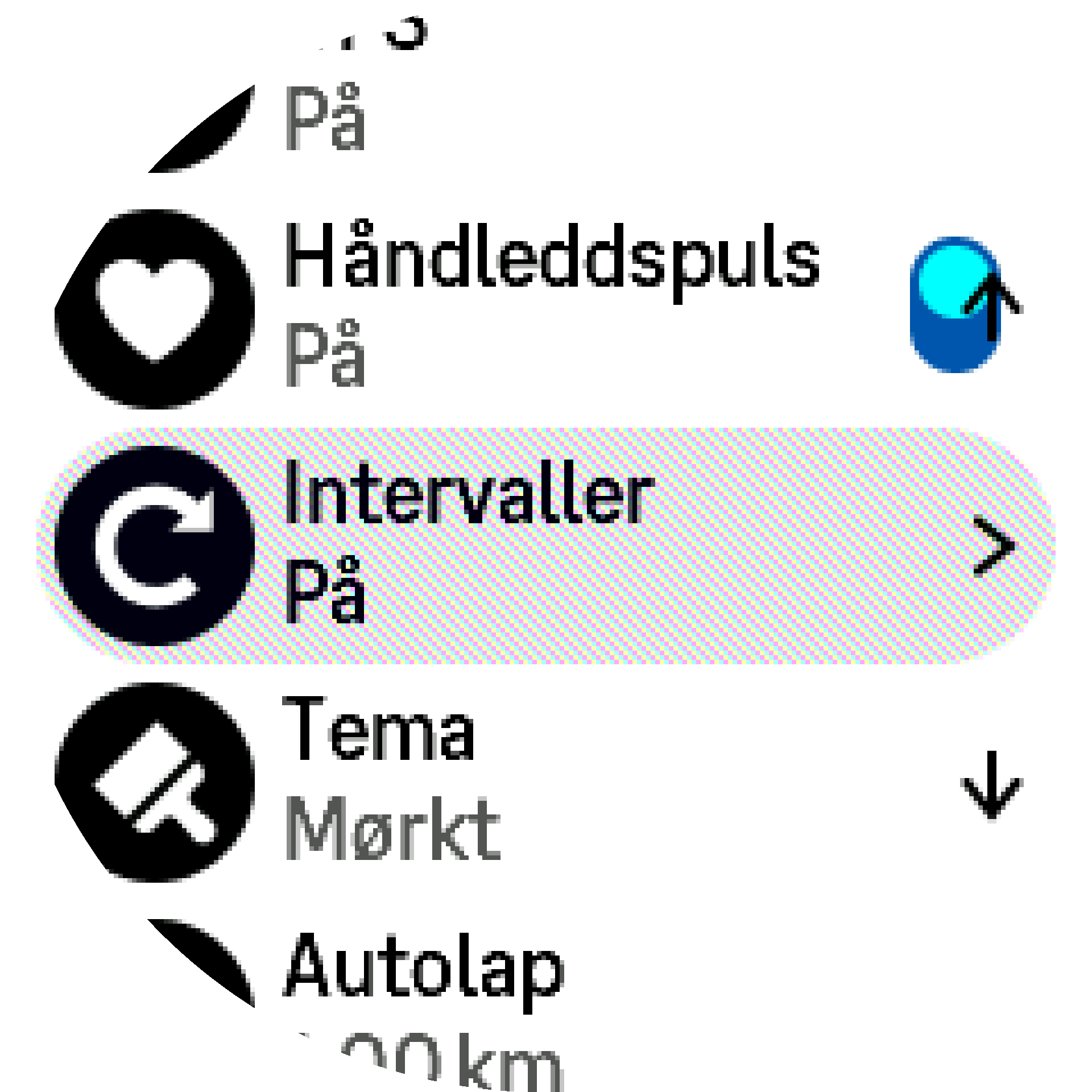 Innstillinger for intervalltrening S9PP