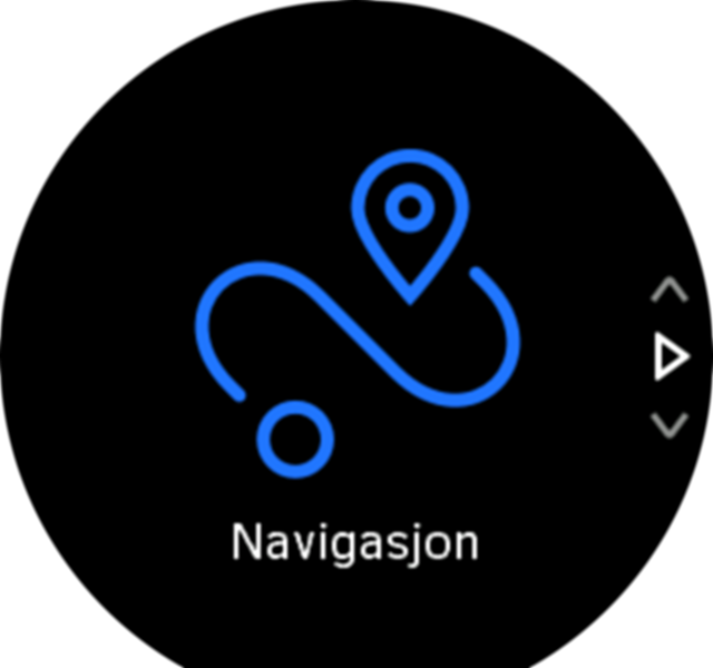 Navigation icon