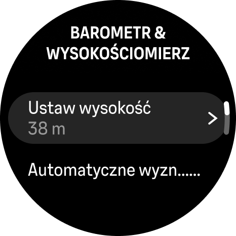 alti baro