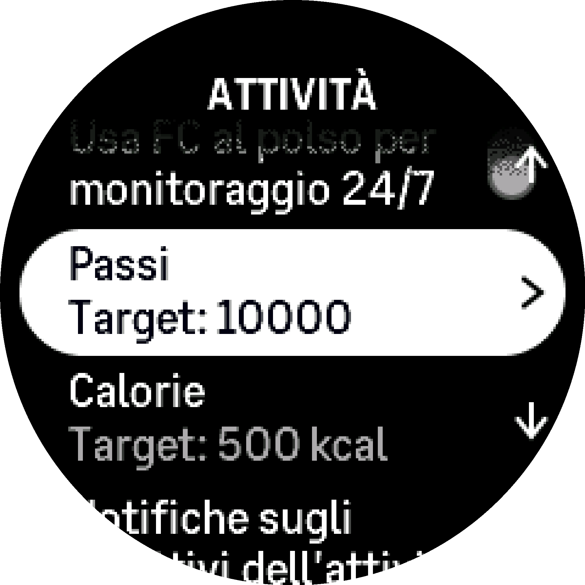 Obiettivi attività S9PP