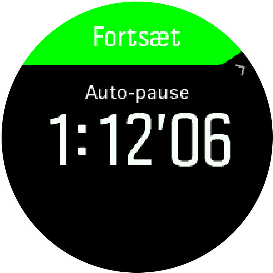 autopause Trainer