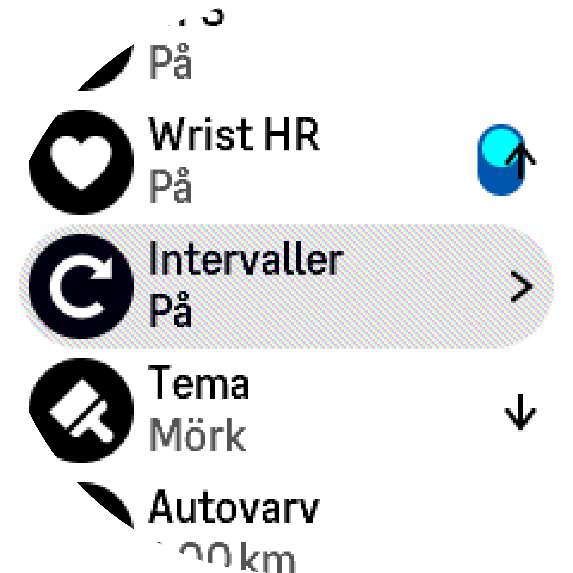 Inställningar för intervallträning S9PP